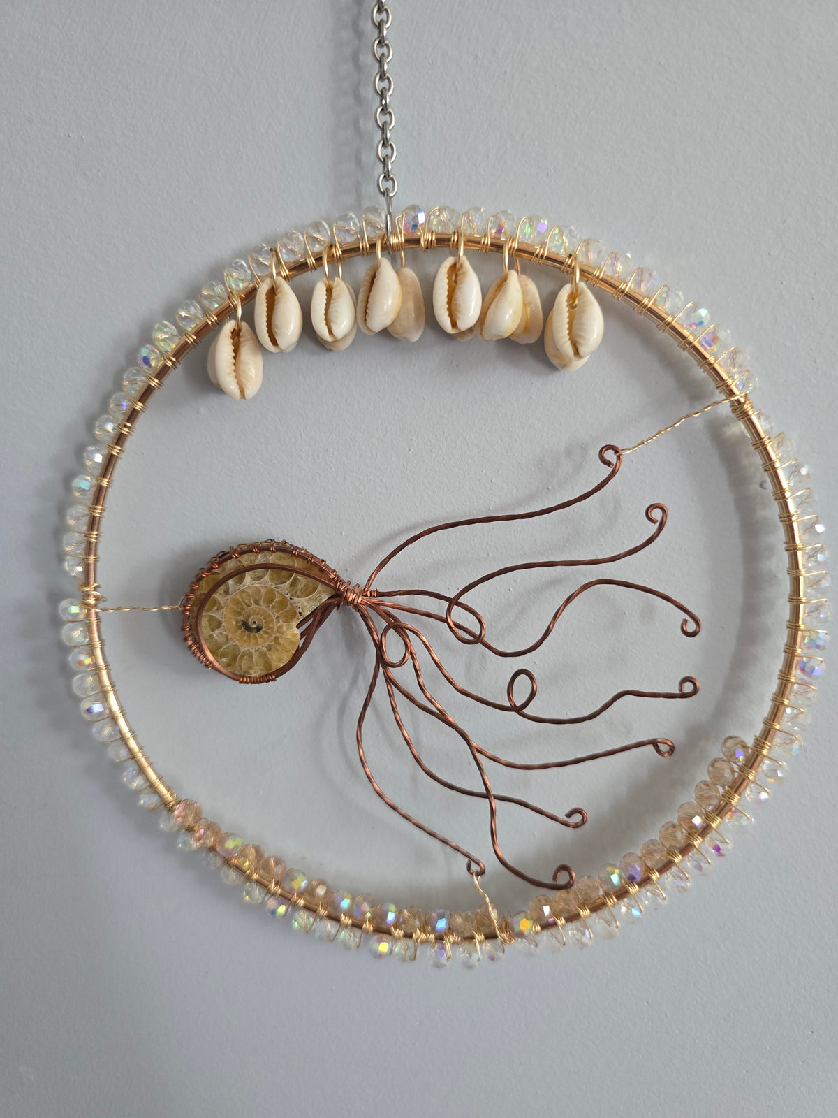 Ammonite Octo